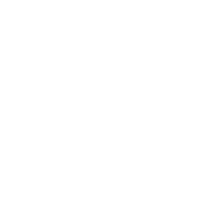 Abhay-Holding